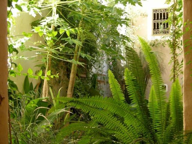 Hotel Dar Zahia Taroudant Esterno foto