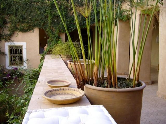 Hotel Dar Zahia Taroudant Esterno foto