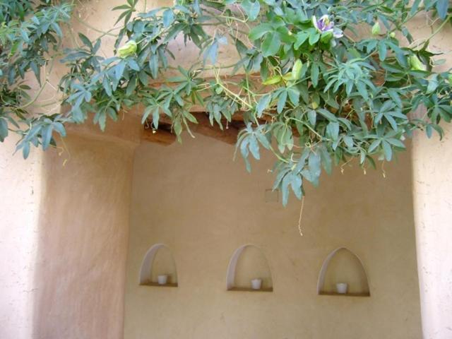 Hotel Dar Zahia Taroudant Esterno foto